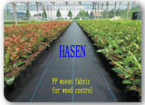 PP Woven Fabric with Anti-UV Products in Roll for Garden and Agriculture, Plant Cover, Weed Control- Black with Lines 90GSM