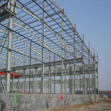 Professional Steel Structure Building