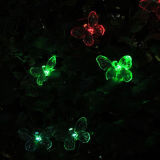 Butterfly Solar String Light with White & Color Changing LED