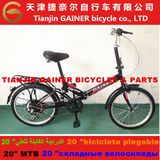 Tianjin Gainer 20