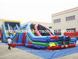Big Inflatable Obstacle Slide (AQ09184)