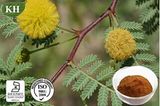 Kingherbs' 100% Natural Acacia Catechu Extract: 6: 1; 40% Catechins (catechin, epicatechin) CAS No. 7295-85-4