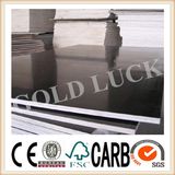 18mm Black Film Faced Plywood/Concrete Formwork