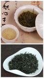 Chinese Speciality 100% Natural Green Tea Anti Aging Exclusive High Mountain Green Tea Hgt835