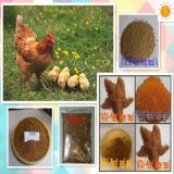Factory Supply Feed Grade Poultry Meat and Bone Meal Price
