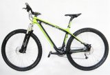 Carbon Fiber Mountain Bicycle