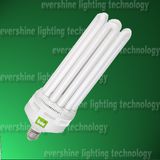 6u Fluorescent Light