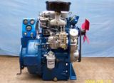 Stationary Power Diesel Engine (BR4100BG)