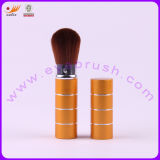 Colored Retractable Brush with Customized Design (EYP-T-YB01)