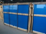 Building Glass/Float Glass