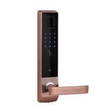 Fingerprint Door Lock for Apartment