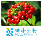 Natural Panax Ginseng Root Extract Powder 1%-80% Ginsenoside
