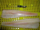Frozen Msc Alaska Pollock Fillet