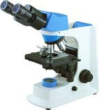 Bestscope Bs-2036A Biological Microscope