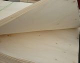 Poplar Veneer-Core (BV-HT003)