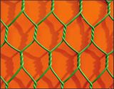 Hexagonal Wire Mesh