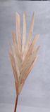 Dried Flower (KA084045)