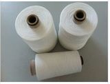 Polyester Yarn