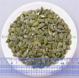 Pumpkin Seed Kernel