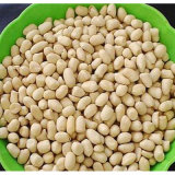 2015 China Fresh Raw Dried Blanched Peanut Kernels/ Arachis Hypogasa