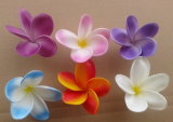 Real Touch Flower Frangipani Flower (YA-HPJ01)