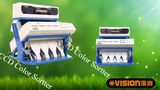 Melon Seeds Cleaning-Sorting System, Seeds Color Separating Machine!