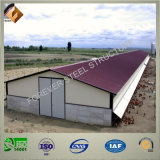 Steel Structure Prefab Poultry House Shed