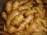 Fresh New Crop Ginger