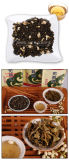 Speciality 100% Natural Jasmine Green Beauty Tea, Jasmine Piluo 8521