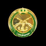 Military Collar Badge (CB40403)