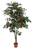 Artificial Plants and Flowers of Camellia 190cm Gu-Bj-788-748-22-44