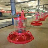 Metering Pan Feeder for Breeder Rearing with CCC Certification