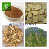 100% Natural Astragalus Membranaceus Root Extract