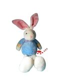 Funny Stuffed Plush Rabbit Toy (TPTT0041)