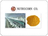 Corn Gluten Meal (CGM) Sell to America