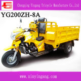 Yingang Adult Tricycle with Cabin
