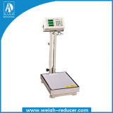 Foldable Electronic Counting Platform Scale (A-602)