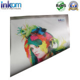 UV Curing Ink for Mimaki Jfx200-2513