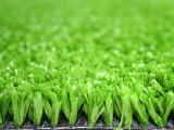 Artificial Grass for Football (A310324WS6601)