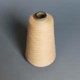 Colored Polyester Yarn