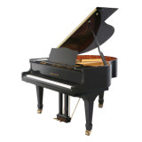 High Quality with Reasonable Price Grand Piano Gp-158