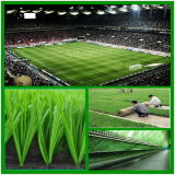 Footabll / Soccer Artificial Turf Field Lawn with PE Monofilament (MJD-A55L17E)