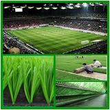 Footabll / Soccer Artificial Turf Field Lawn with PE Monofilament (MJD-A55L17E)