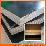 Film Faced Plywood Manufacturer /Marine Plywood/Waterproof Plywood/18mm Construction Plywood