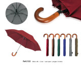 Two Folding Umbrella 2122