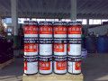 Flexographic Printing Ink