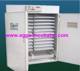 Chicken Egg Incubator (E1584)