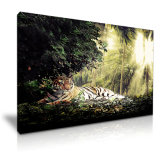 Tiger Canvas Painting Animal Wall Art Decoration Painting