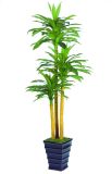 Artificial Plants and Flowers of Dracaena 120lvs