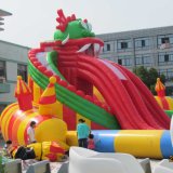 Inflatable Slide, Water Slide for Kids and Teenager
